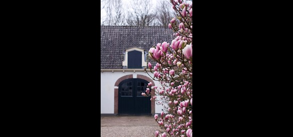 detail koetshuis met 100 jaar oude magnolia