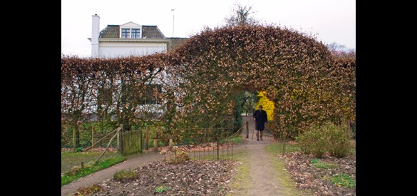dhr Bosch van Rosenthal bij beukenhaag geplant door zijn vader