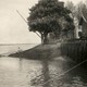 Zalmvangst op onbekende plek in de Waal in 1918. Het 300 meter lange vangnet wordt met een paardenmolen aan wal getrokken. © Foto: C.J. Hofker, fotocollectie Het Leven (1906-1941), Spaarnestad Photo CC-by