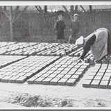 Foto uit 1908 van een opsnijdster bij een Waalsteenfabriek. © Internationaal Instituut voor Sociale Geschiedenis, De Nederlandse arbeidersbeweging tot 1918. PD