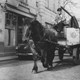 Paard en wagen in Arnhem.jpg © 