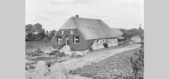 Foto uit 1977 van een boerderij aan de Waalbandijk 83 in Dodewaard met een op hoogte gemaakte begane grond.