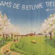 Reclameplaat, voorstellende een bloeiende boomgaard met fabriek, 1950-1960 © Flipje en Streekmuseum Tiel