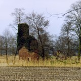 De ruïne van huis Nettelhorst in 2010 © Kasteelbeer CC-BY-SA 3.0, Wikimedia