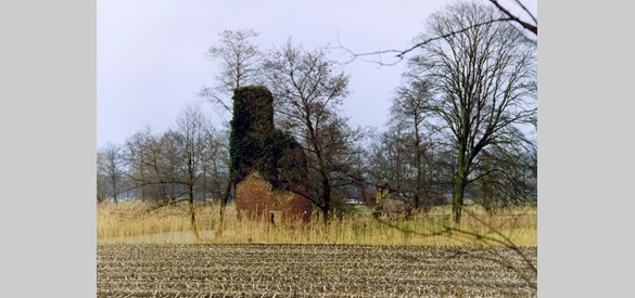 De ruïne van huis Nettelhorst in 2010
