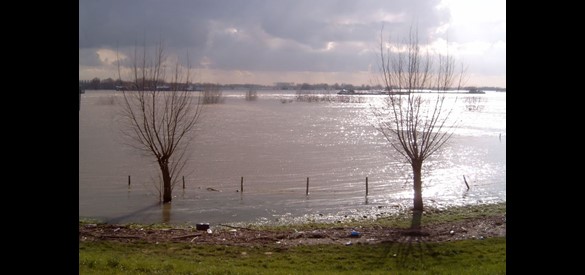 De Waal