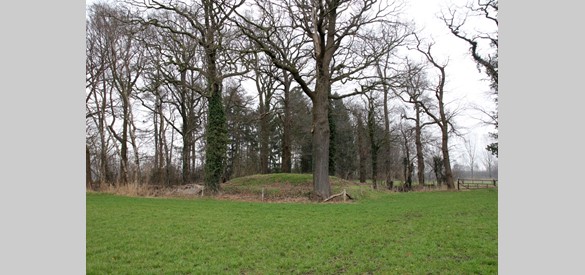 Grafheuvel op het voormalige landgoed 'het Smees'