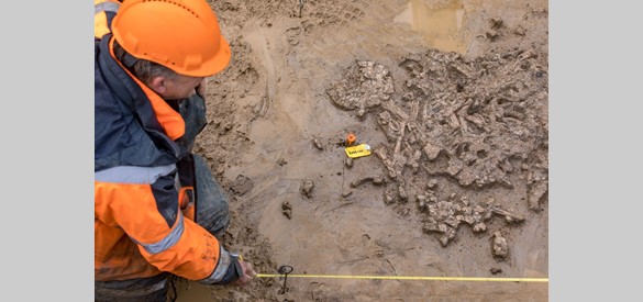 Opgraving prehistorisch graf in Tiel-Medel