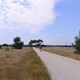 Dauwtrappen © 