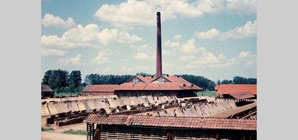 Steenfabriek bij Deil, 1954