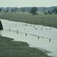 Kwel achter de dijk maakt het gebied geschikt voor waterminnende planten © Bron: Gemeente Beuningen