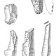 Selectie van artefacten, opgegraven in Doetinchem © Tekening: RAAP Oost, in copyright RAAP