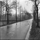 Boerderijen ten zuiden van het kasteel langs de weg naar Zieuwent (Ruurlo, 1962) © Rijksdienst voor het cultureel erfgoed cc-by-sa