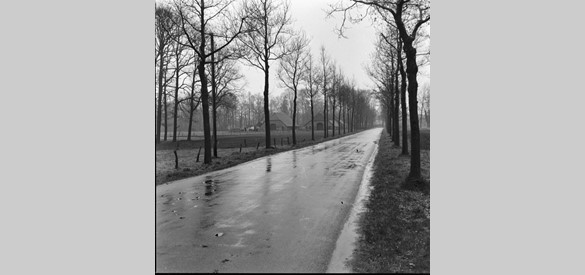 Boerderijen ten zuiden van het kasteel langs de weg naar Zieuwent (Ruurlo, 1962)