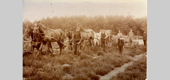 Heide plaggen, 1910, Nunspeet