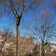Panorama met Walburgiskerk en Drogenapstoren vanaf de Martinetsingel te Zutphen © mijnGelderland CC-BY-SA