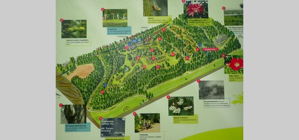 Plattegrond Arboretum Belmonte