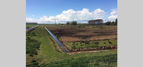 Natuur langs de Maas en Waalweg, een verwijzing naar de oude smalle wilgenakkers of passen