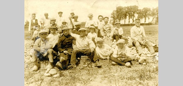 Aardappeloogst, circa 1915