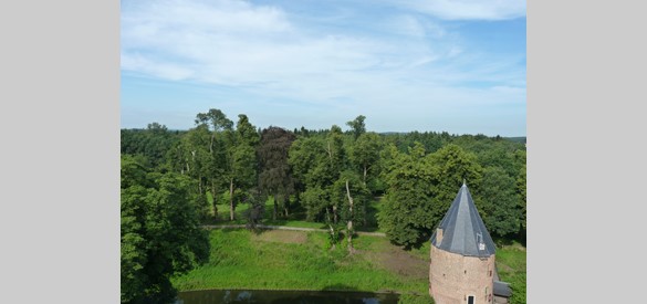 Uitzicht op het parkbos de Plantage vanuit Huis Bergh