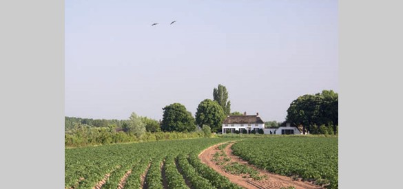 De Engelhof met landerijen.