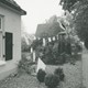 Geboorte ooievaar in de tuin © 