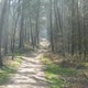 Galgenberg (8)