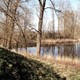 Klokkewaai (1)
