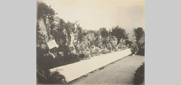 De oranjerie tijdens de tentoonstelling ter gelegenheid van het 25-jarig bestaan van de afdeling ‘Velp en omstreken’van de Nederlandsche Maatschappij vor Tuinbouw en Plantkunde, Foto door W.K. baron van Pallandt, 1904.