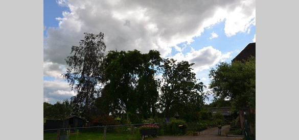 De tuin bij De Gumster in juni 2013