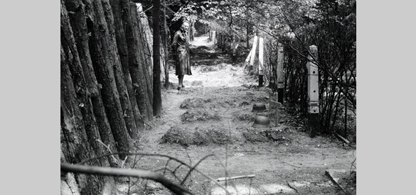 Duitse oorlogsgraven aan de Schelmseweg in Oosterbeek. Bron: Gelders Archief