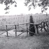 Op deze tijdelijke Duitse begraafplaats op het terrein van de Saksen Weimar-kazerne in Arnhem, lagen bijna 150 soldaten begraven. Bron: Gelders Archief © Fotocollectie Nico Kramer