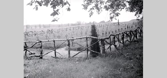 Op deze tijdelijke Duitse begraafplaats op het terrein van de Saksen Weimar-kazerne in Arnhem, lagen bijna 150 soldaten begraven. Bron: Gelders Archief