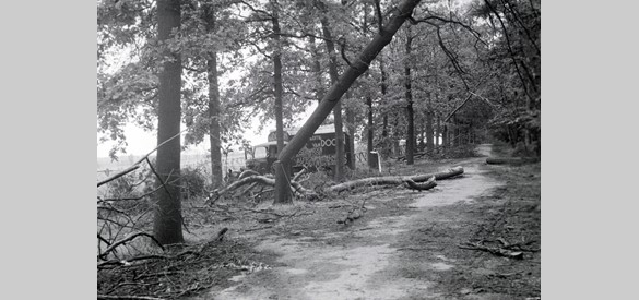 De Weg achter het Bos te Arnhem, in 1945. Op deze plaats was een tijdelijke Duitse oorlogsbegraafplaats in gebruik genomen. Bron: Gelders Archief