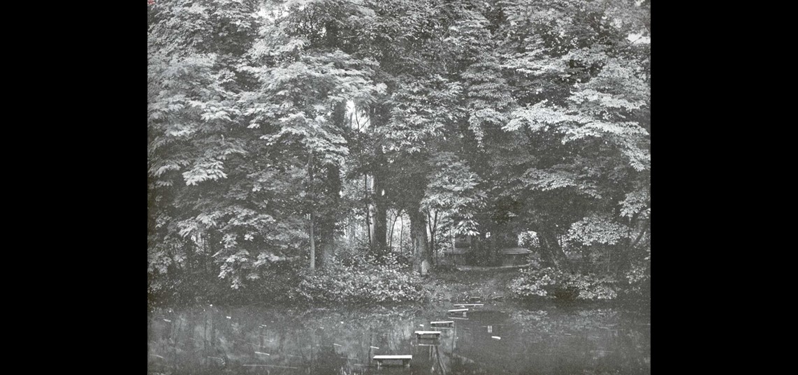 Vogelverblijf op eiland in de kasteelvijver, historische foto uit ca. 1920. Bron: Geldersch Landschap en Kasteelen