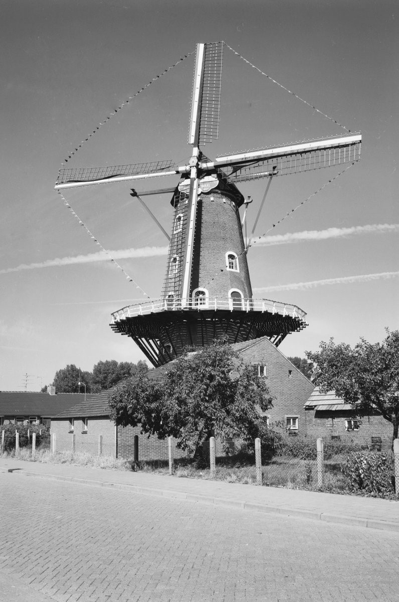 Feestelijke molentaal op Molen De Wielewaal in 1975. Bron: Rijksdienst voor het Cultureel Erfgoed