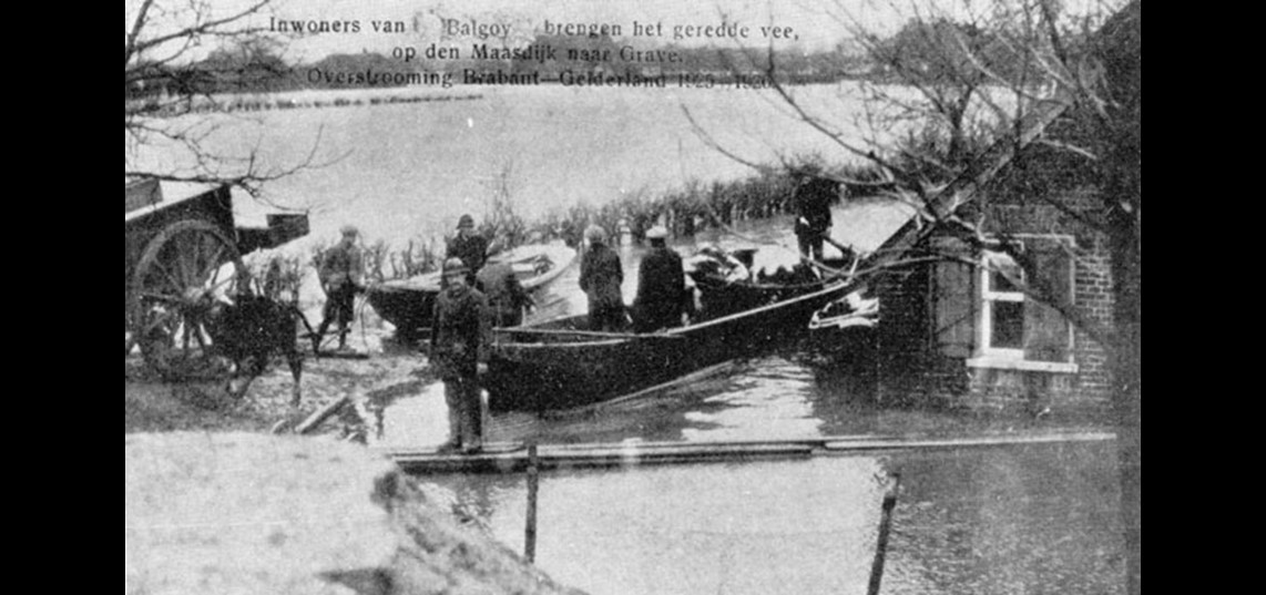 Inwoners Balgoye brengen het geredde vee naar Grave tijdens overstroming 1926. Bron: Pagus Balgoye