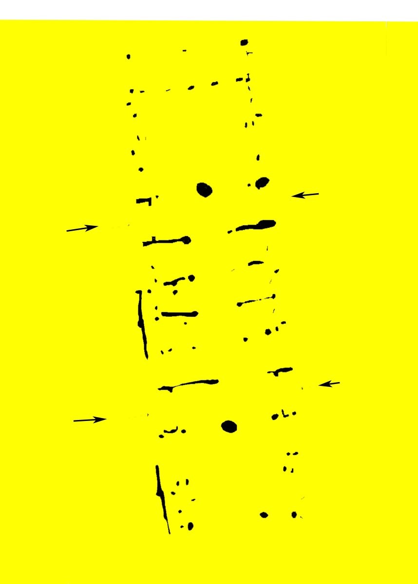Afb. 1 Plattegrond van een huis uit de IJzertijd gevonden bij een opgraving in Harselaar Zuid in 2003. De zwarte grondsporen tekenen zich af tegen het gele zand.