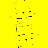 Afb. 1 Plattegrond van een huis uit de IJzertijd gevonden bij een opgraving in Harselaar Zuid in 2003. De zwarte grondsporen tekenen zich af tegen het gele zand.