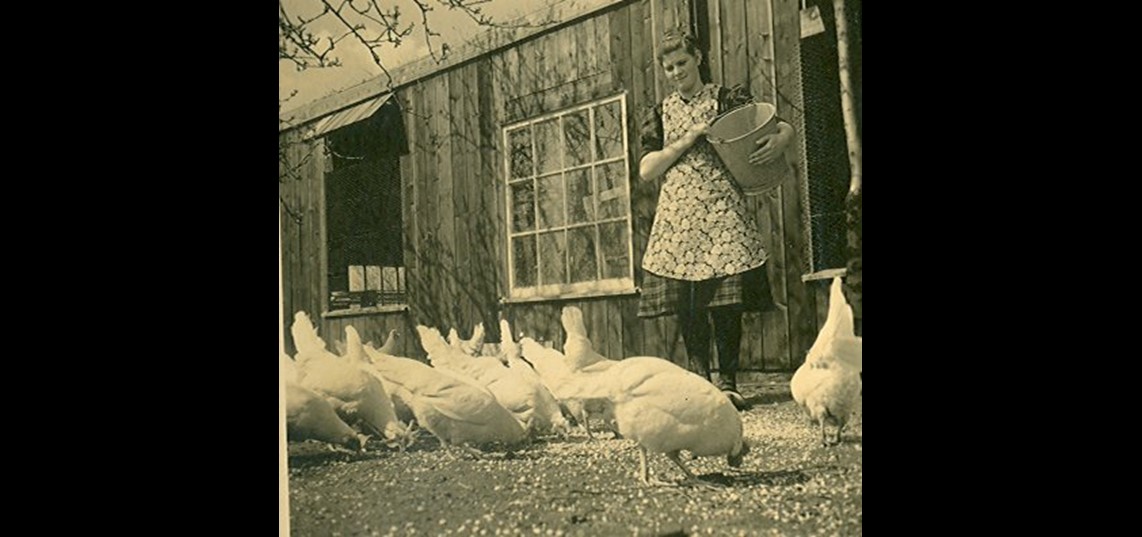 Johanna (Annie) Hilhorst voert haar kippen op boerderij De Schaffelaar bij De Glind. De foto dateert uit de jaren tussen 1940 en 1955. Bron: Gemeentearchief Barneveld