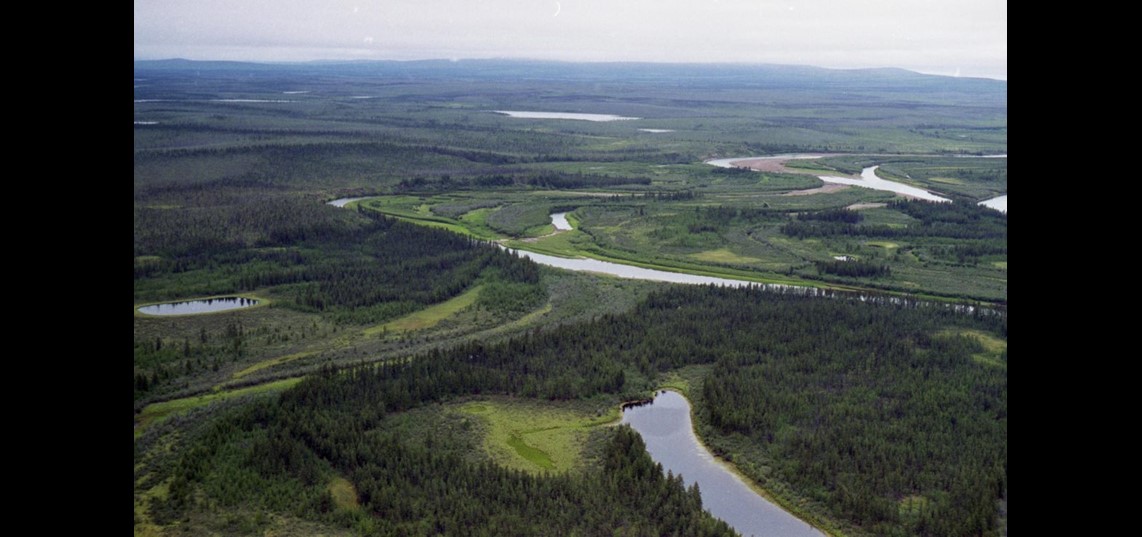 Onbedijkt rivierenlandschap in Noordoostelijk-Siberië (Omolon rivier). De omgeving van Buren moet er duizenden jaren geleden zo uit hebben gezien. Foto: J.A. de Raad