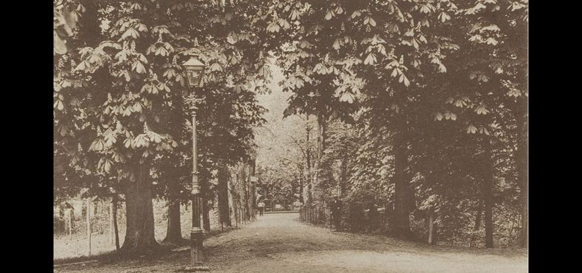 Ingang van Het Plantsoen, ca. 1900. Collectie Regionaal Archief Rivierenland, Tiel