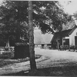 Boshuis Drie 1948