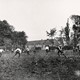 De eerste foto van een voetbalwedstrijd in Groesbeek in 1912. De wedstrijd is op een ‘speelveld’ aan de Hoflaan bij de boerderij van klooster Mariëndaal. De club heet ‘Rood Wit Blauw’ en bestaat uit Groesbeekse arbeiders die in Duitsland werken. Deze oudste Groesbeekse voetbalclub (1912) bestaat al lang niet meer. Collectie G.G.Driessen.