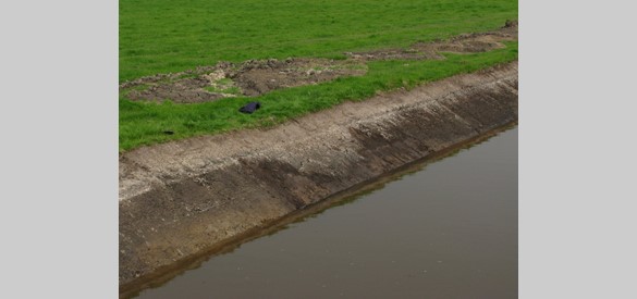 Dwarsprofiel van het kanaal De Nieuwe Rijn in de polder Arkemheen, in beeld gebracht tijdens het verbreden van een sloot (foto Peter Bijvank, Nijkerk)