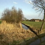 Fragment van het onvoltooide kanaal De Nieuwe Rijn, te zien aan de Fliersteeg in Nijkerk (foto Gerrit van de Veen, Nijkerk)