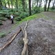 De in 2009 ontdekte middeleeuwse walburg in Appel (foto Gerrit van de Veen Nijkerk)