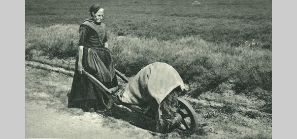 Een oude vrouw in klederdracht heeft veevoer verzameld op de hei (omstreeks 1900)
