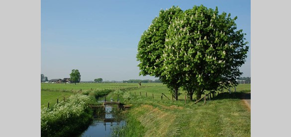 Landschap in Steenderen