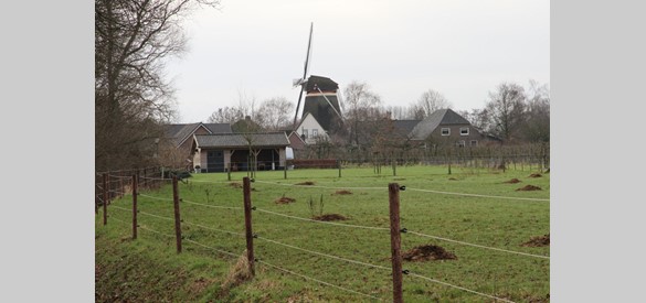 De Beatrixmolen in het landelijke Winssen stamt uit 1791
